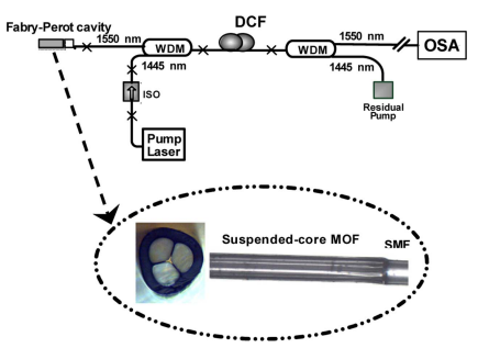 image009.png image009.png