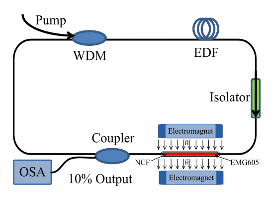 image015.png image015.png